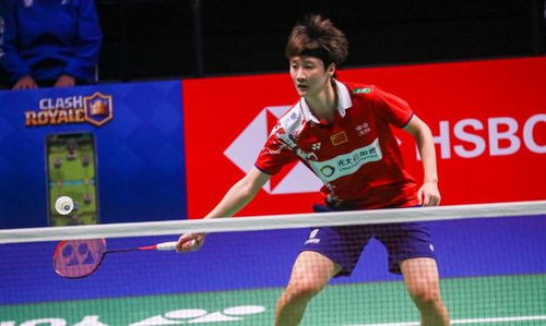 普及率和参 普及率和参