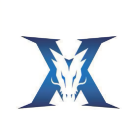 队核心架构 队核心架构